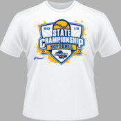 2013 GHSA Softball State Championship