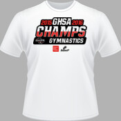 2015-2016 GHSA Gymnastics Champs