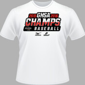 2015-2016 GHSA Baseball Champs