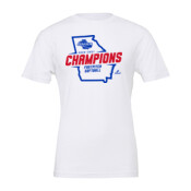 2020-2021 GHSA State Champions - Fastpitch Softball